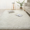 白色地毯卧室坐垫拍照纯色，ins风长毛毛绒，毛毯地垫客厅飘窗床边毯