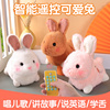可爱遥控兔子毛绒玩具智能，早教电动复读玩偶宝宝，安抚送儿童女孩子