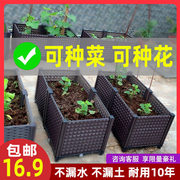 种菜专用蔬菜花箱户外种植大花盆塑料长方形阳台种菜盆树脂特大号