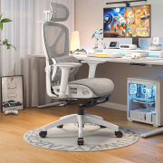 人体工学椅电脑椅家用椅子久坐舒服宿舍靠背书桌电竞椅办公室座椅