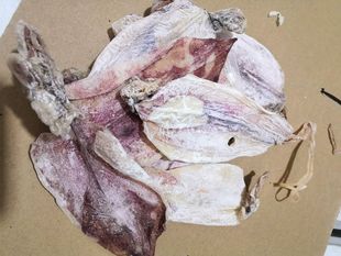 北海鱿鱼干长相外观欠佳的鱿鱼干便宜卖一斤