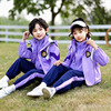 幼儿园紫色园服秋冬装三件套儿童，冲锋衣班服一年级，小学生校服套装