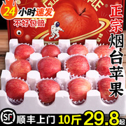 正宗烟台红富士苹果水果，新鲜10斤山东栖霞整箱现摘脆甜苹果