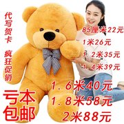 毛绒玩具泰迪熊猫布娃娃抱枕公仔女生1.8抱抱熊2米1.6大熊超大号C