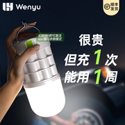户外露营灯停电应急超长续航野营帐篷营地天幕挂灯充电照明氛围灯