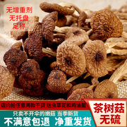 雅姐优品古田茶树菇干货特产级商用散装不开伞蘑菇茶薪菇香菇
