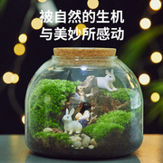 微景观生态瓶苔藓玻璃瓶水培，植物玻璃花瓶造景玻璃容器带灯