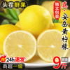 四川安岳黄柠檬9斤新鲜水果奶茶店专用皮薄一级香水甜柠檬