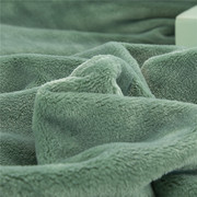 保暖珊瑚绒毯加厚法莱绒，毛毯纯色绒毯秋冬季保暖跨境毯子