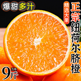 正宗纽荷尔脐橙10斤装新鲜水果应当季手剥冰糖甜橙子秭归整箱