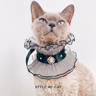 猫猫蕾丝复古liza宠物口水，巾文艺复兴公主，暗黑骑士领德文无毛拍照