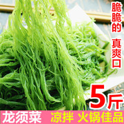 盐渍龙须菜海草2/5斤新鲜商用凉拌海藻菜石花菜麻辣烫火锅食材