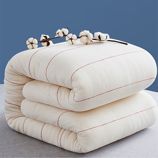 长绒棉被棉花被子被芯棉絮床垫床垫被单人春秋冬被加厚10斤被褥子