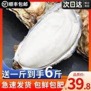 乳山生蚝鲜活5斤牡蛎新鲜海鲜水产海产海蛎子10商用整箱