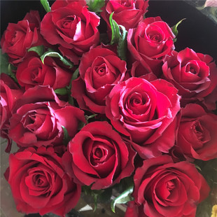 红玫瑰昆明斗南基地鲜花发多头，百合香槟水养，情人节520礼物