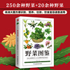 野菜图鉴250余种野菜+20余种野果， 高清大图方便识别，别名、特征、功效、饮食宜忌速查，安全食 博库网