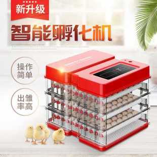 厂销新全自动孵化器小型孵蛋器家用型智能迷你孵化N机小鸡鸭鹅品