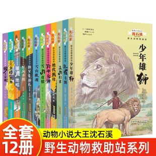 沈石溪动物小说系列全集全套野生动物救助站7-8-9-10-12周岁儿童文学读物小学生课外阅读书籍三四五六年级我的野生动物朋友