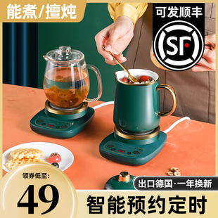 煮茶器多功能办公室小型电茶炉，全玻璃花茶，养生壶mini小茶炉煮茶壶