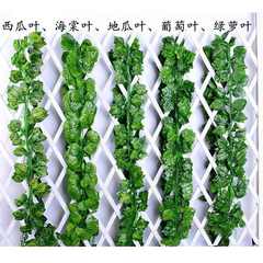 仿真假藤条爬山虎地瓜叶绿萝藤塑料藤条藤蔓树叶缠绕水管吊顶装饰