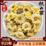 正宗杭白菊500g新货杭州菊花茶桐乡杭菊特级散装白菊花(白菊花)另售胎菊