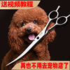 宠物剪美容剪专业修毛剪泰迪剪毛神器工具，套装狗狗弯剪宠物用品