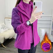 紫色冲锋衣外套女冬季2024加绒加厚中老年三合一可拆卸抓绒衣