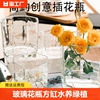 玻璃花瓶方缸水养绿植鲜花烛台桌面装饰摆件鱼缸台面极简家居现代
