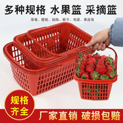 塑料小水果周转筐一次性商用水果篮子手提采摘草莓篮子方形采摘篮