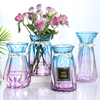 北欧创意透明玻璃花瓶水培绿萝植物，干花鲜花插花瓶，客厅装饰摆件