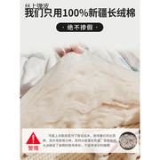 新疆棉花被子春秋被手工棉絮被芯单人空调纯棉花全棉被褥四季通用