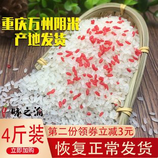 产地万州阴米子重庆地方特产农家手工制作 熟糯米散装4斤