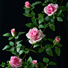 仿真玫瑰花假花藤条绿植塑料，藤蔓植物室内空调，管道遮挡装饰墙壁挂