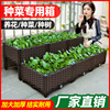 种菜神器家庭阳台长方形塑料特大家用蔬菜专用种植箱花盆楼顶花箱