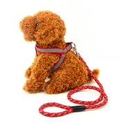 宠物狗反光牵引带中小型犬背带狗，绳子泰迪贵宾犬宠物用品尼龙狗链