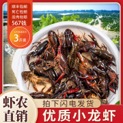 湖北潜江小龙虾，鲜活3斤567钱特大活虾原产地虾农