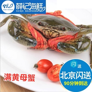 3两-1斤只北京闪送母膏蟹青蟹，鲜活海蟹海鲜肉蟹蟹香辣蟹