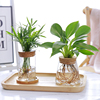 创意玻璃花瓶透明水养，绿植容器轻奢小花瓶办公桌面，装饰品现代摆件