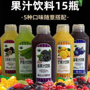 果汁饮品450ml*15瓶整箱，蓝莓芒果桑果，百香果芦荟汁混搭饮料批