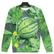 秋季款卫衣3d印花图案个性创意小众时尚西瓜，图案男女款卫衣