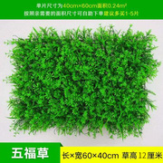 五福草草皮仿真草坪植物墙装饰绿植墙绿化草坪人造带花塑料草皮