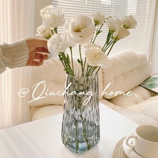 简约创意ins风轻奢透明玻璃，花瓶水养插花玫瑰，百合富贵竹客厅摆件