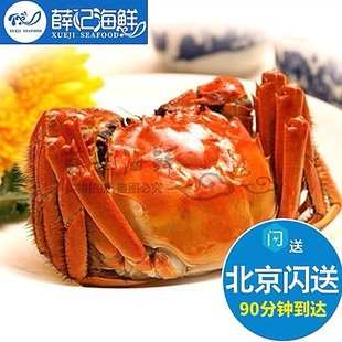 单只 母3.3-3.5两螃蟹 北京闪送 鲜活大闸蟹 大螃蟹 满10只