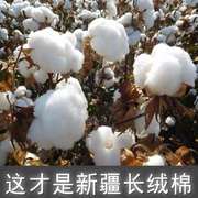 2023新疆长绒棉被手工，纯棉花被褥子棉絮，加厚保暖被子床垫棉胎冬季