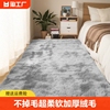 地毯卧室客厅2024床边毯高级感免洗可擦毛毯地垫房间茶几加厚