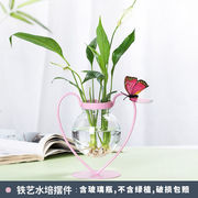 创意绿萝水培植物玻璃透明花瓶，插花水养花盆，器皿桌面客厅家居摆件