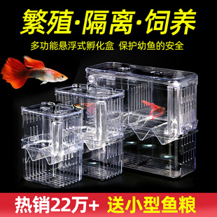 鱼缸隔离盒孔雀鱼繁殖盒神器孵化盒小鱼鱼苗亚克力悬浮式下崽母鱼