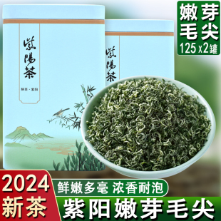 陕青安康茶叶2024新茶，紫阳富硒茶毛尖绿茶，浓香耐泡散装礼盒装250g