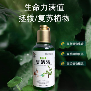 青丛园丁植物复活液，养花水培绿植，发财树富贵竹绿萝通用型营养液