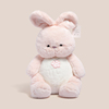 可爱风粉色兔子公仔超柔软布娃娃，玩偶床上兔，抱枕儿童女孩毛绒玩具